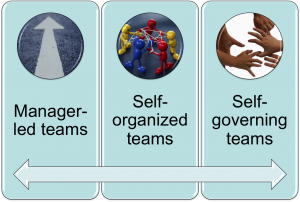self-organizing teams